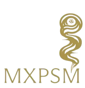 MXPSM GmbH